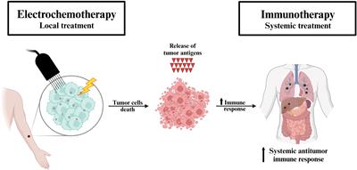 Electrochemotherapy combined with immunotherapy – a promising potential in the treatment of cancer